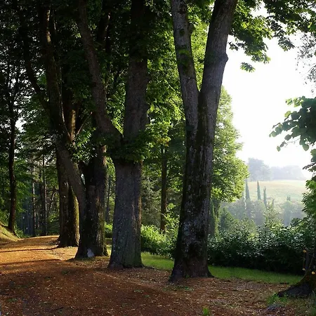 La Collina Tredozio